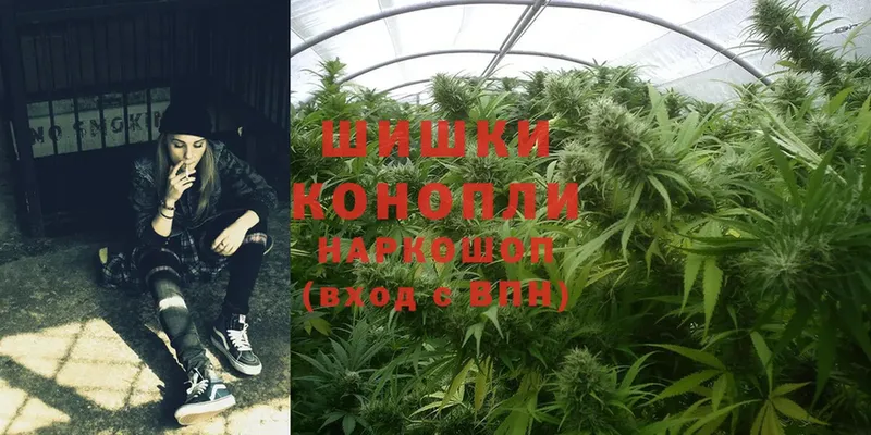 МАРИХУАНА Ganja  blacksprut сайт  Сковородино 